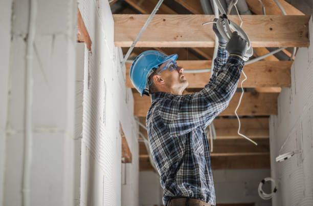 Best Electric Panel Repair  in Windermere, FL